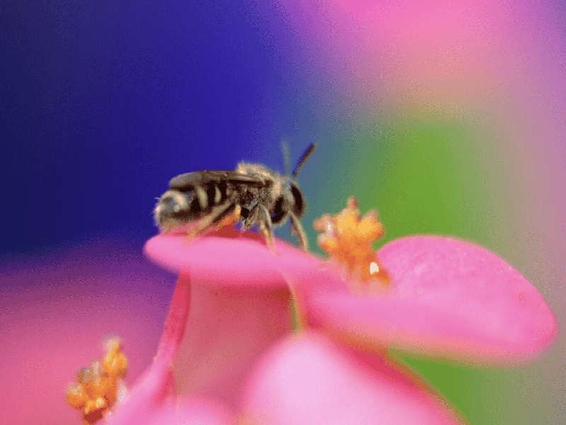 试管血小板偏低(试管成功后 建卡)